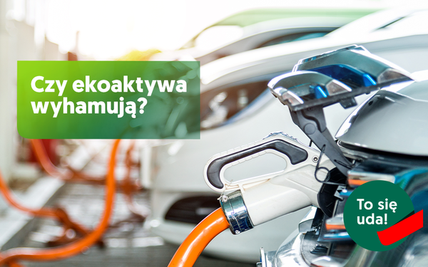 Pandemia nie zatrzymała inwestycji w zielone aktywa. EFL z trzycyfrową dynamiką