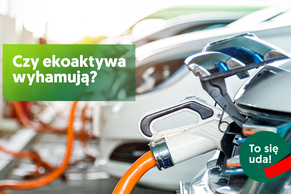 Pandemia nie zatrzymała inwestycji w zielone aktywa. EFL z trzycyfrową dynamiką