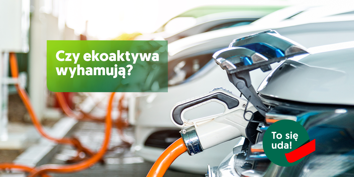 Pandemia nie zatrzymała inwestycji w zielone aktywa. EFL z trzycyfrową dynamiką